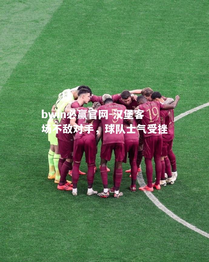 汉堡客场不敌对手，球队士气受挫