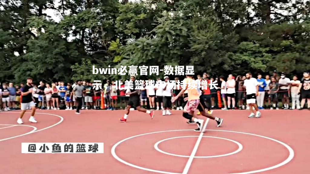 数据显示，北美篮球市场持续增长